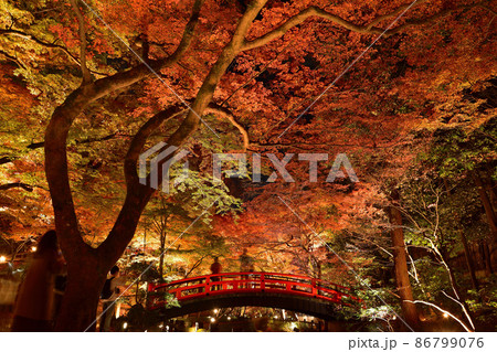 北野天満宮御土居のもみじ苑の紅葉 86799076