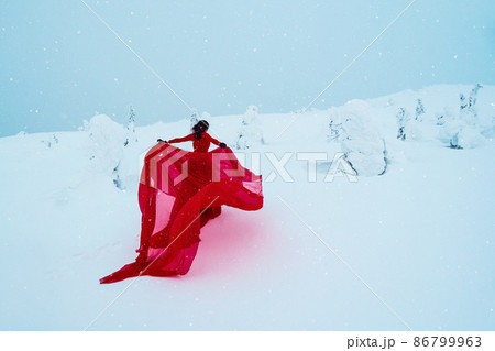Young beautiful woman in long red dress over winter hill background and snowfall. Fairy tale girl on polar winter landscape. View from the back. Young beautiful woman in long red dress over winter hill background and snowfall. Fairy tale girl on polar winter landscape. View from the back. 86799963