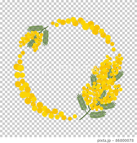 ミモザの花の可愛い丸フレームのベクターイラストのイラスト素材