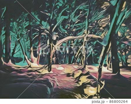 雪灯りに照らされた森の道 86800264