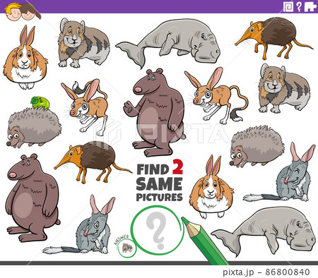 find two same comic wild animals educational game 86800840