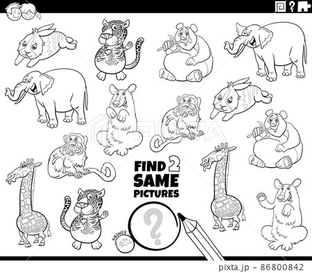 find two same comic animals task coloring book page 86800842