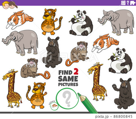 find two same cartoon animals educational game 86800845