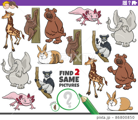 find two same cartoon wild animals educational... - Stock Illustration  [86800850] - PIXTA