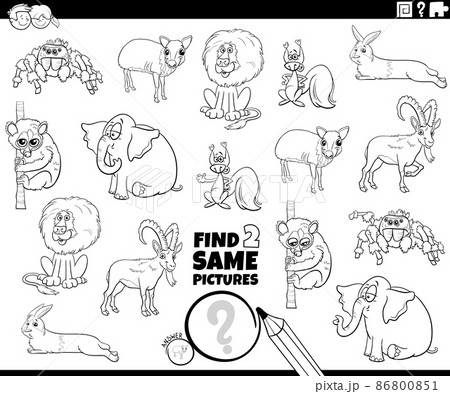 find two same cartoon animals task coloring book page 86800851