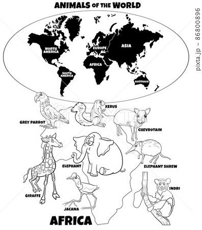 educational illustration with African animals coloring book page 86800896