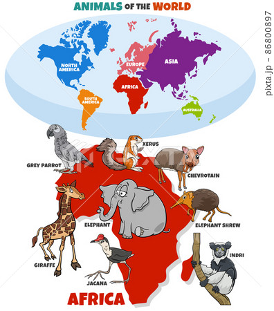 educational illustration with cartoon African animals 86800897