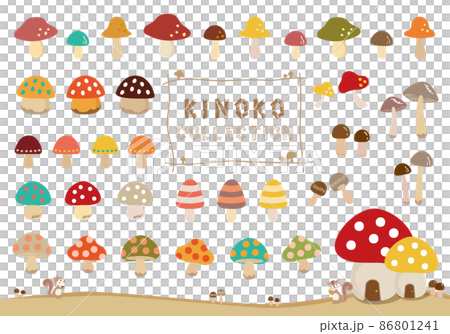 Mushroom illustration set 86801241