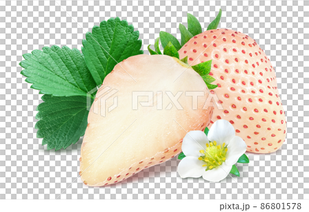 White Chigo White Strawberry Strawberry Illustration Real Light Snow Set 86801578