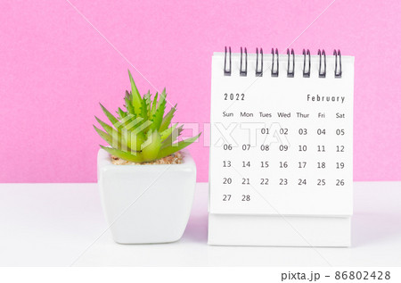 February 2022 desk calendar with plant pot on pink background. 86802428