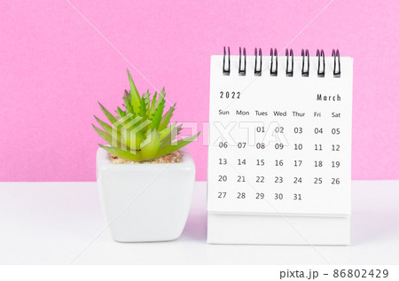 March 2022 desk calendar with plant pot on pink background. 86802429