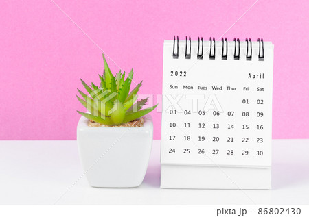April 2022 desk calendar with plant pot on pink background. 86802430