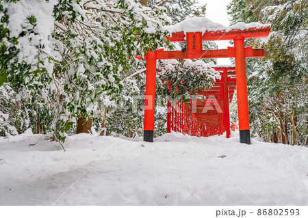 雪の南宮大社、南宮稲荷神社の千本鳥居〈岐阜県不破郡〉 雪の南宮大社、南宮稲荷神社の千本鳥居〈岐阜県不破郡〉 86802593