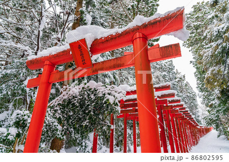 雪の南宮大社、南宮稲荷神社の千本鳥居〈岐阜県不破郡〉 86802595