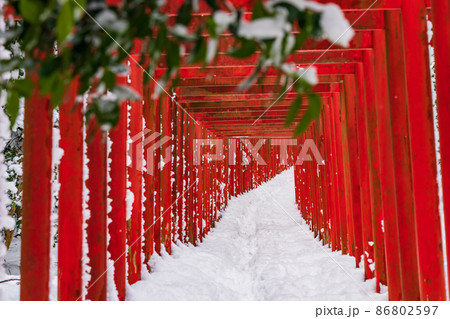 雪の南宮大社、南宮稲荷神社の千本鳥居〈岐阜県不破郡〉 雪の南宮大社、南宮稲荷神社の千本鳥居〈岐阜県不破郡〉 86802597
