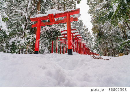 雪の南宮大社、南宮稲荷神社の千本鳥居〈岐阜県不破郡〉 86802598