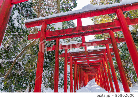 雪の南宮大社 南宮稲荷神社の千本鳥居 岐阜県不破郡 の写真素材