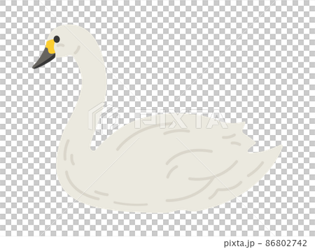 横から見た、白鳥のイラスト 86802742