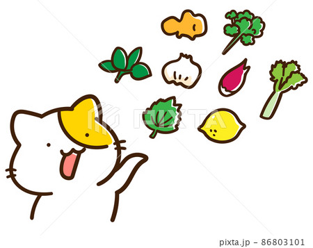 ねこのキャラクターと薬味食材のかわいい手書き風イラストセット ねこのキャラクターと薬味食材のかわいい手書き風イラストセット 86803101