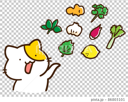 Cute handwritten style illustration set of cat characters and condiment ingredients Cute handwritten style illustration set of cat characters and condiment ingredients 86803101