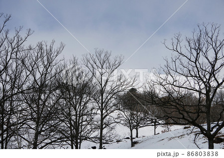 寒々とした冬の深入山 寒々とした冬の深入山 86803838