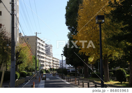 大阪市城東区の風景 大阪市城東区の風景 86803963