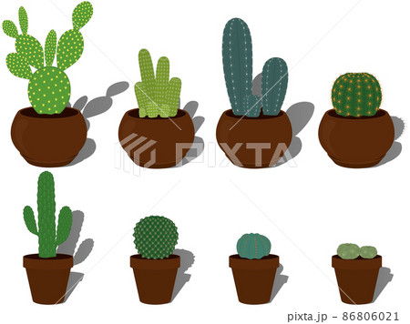 Cactus types collection in terracotta plant pots vector illustration 86806021