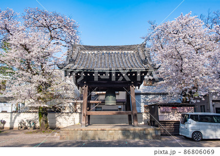 川越　蓮馨寺鐘つき堂と桜 86806069