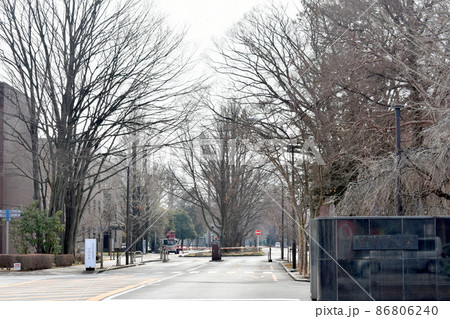 宇都宮大学 86806240