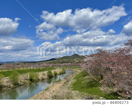 三田市えるむ橋から武庫川とさくら回廊を望む　背景は金毘羅山 86806273