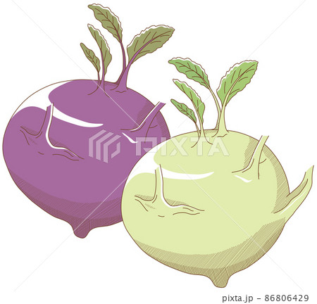 コールラビ 86806429