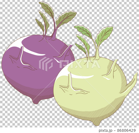 コールラビ 86806429