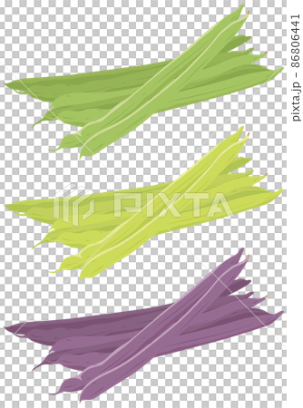 Three-colored green beans - Stock Illustration [86806441] - PIXTA