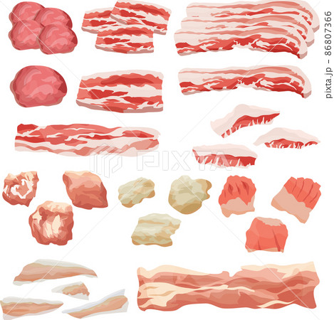 焼肉部位の豚肉セットのイラスト　ベクター 86807366