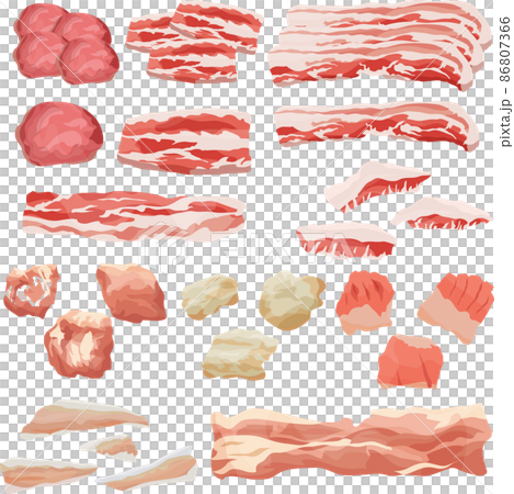 焼肉部位の豚肉セットのイラスト　ベクター 86807366