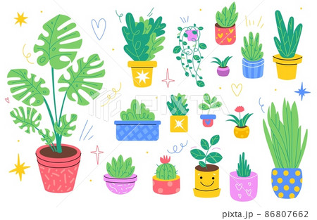Home plants. Different breeds houseplants, color pots, floriculture and gardening, cozy indoor hobby, doodle style palms and ficuses, monstera and succulents vector set 86807662