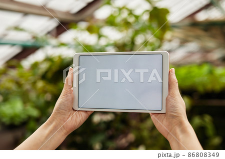 Hands of young greenhouse worker holding tablet with blank screen Hands of young greenhouse worker holding tablet with blank screen 86808349