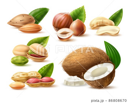 Realistic nuts. 3D natural products. Dry vegetables snacks. Almond and pistachio. Coconut with leaves. Hazelnut kernels or halves. Isolated peanuts and cashew pieces. Vector food set 86808670