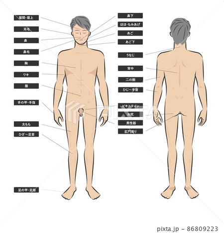 手書き風なでペンタッチの中年のアジア人男性の美容や整体向けの全身の裸の白バックの線なしイメージイラスのイラスト素材 [86809223] - PIXTA