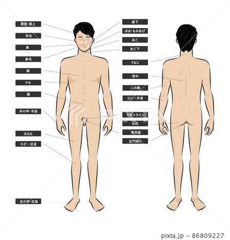 若いアジア人男性の脱毛エステの全身の箇所指示白バックの手書き風な筆タッチのイメージイラスト図 86809227
