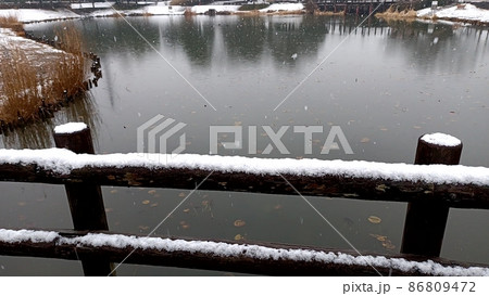 埼玉県の雪化粧7 86809472