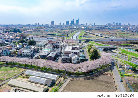 空撮「埼玉県」春・見沼田んぼの桜回廊 86810034