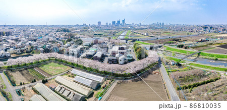 空撮「埼玉県」春・見沼田んぼの桜回廊 空撮「埼玉県」春・見沼田んぼの桜回廊 86810035