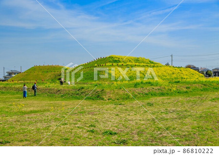 埼玉県　行田市　菜の花がきれいな埼玉古墳群 86810222