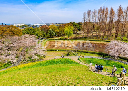 埼玉県　行田市　桜が満開の埼玉古墳群 86810250