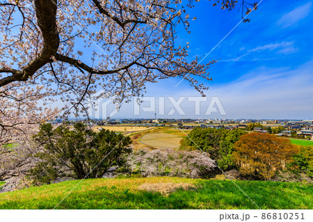 埼玉県 行田市 桜が満開の埼玉古墳群 埼玉県 行田市 桜が満開の埼玉古墳群 86810251