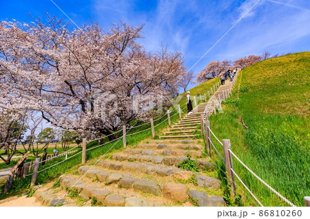 埼玉県 行田市 桜が満開の埼玉古墳群 埼玉県 行田市 桜が満開の埼玉古墳群 86810260