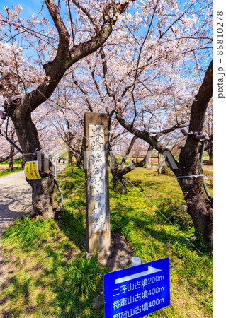 埼玉県 行田市 桜が満開の埼玉古墳群 埼玉県 行田市 桜が満開の埼玉古墳群 86810278