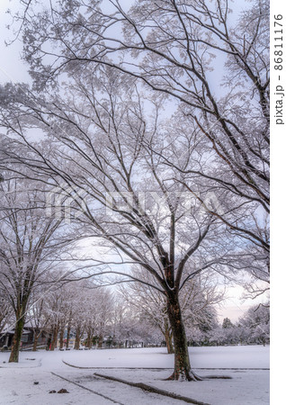 茨城県水戸市　茨城県立歴史館の雪景色 86811176