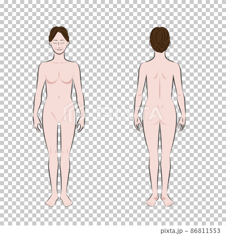 全裸の中年アジア人女性の筆タッチの全身の白バックのカラーのイメージイラスト図 86811553